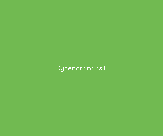 cybercriminal meaning, definitions, synonyms