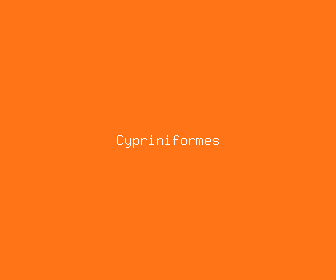 cypriniformes meaning, definitions, synonyms