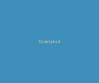 didelphid meaning, definitions, synonyms