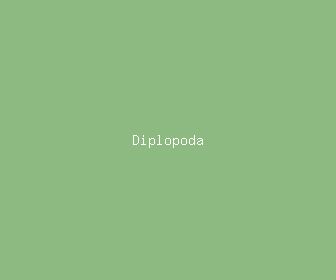 diplopoda meaning, definitions, synonyms