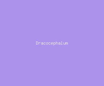 dracocephalum meaning, definitions, synonyms