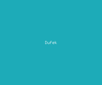 dufek meaning, definitions, synonyms
