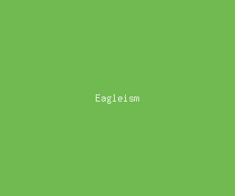 eagleism meaning, definitions, synonyms