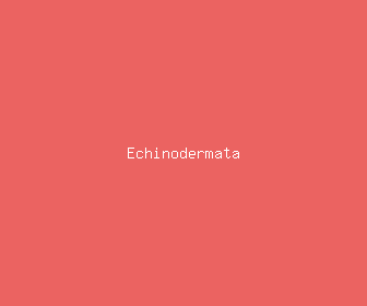 echinodermata meaning, definitions, synonyms