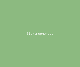 elektrophorese meaning, definitions, synonyms