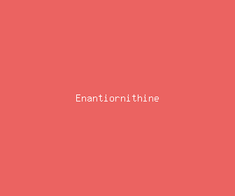 enantiornithine meaning, definitions, synonyms