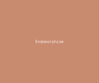 endomorphism meaning, definitions, synonyms
