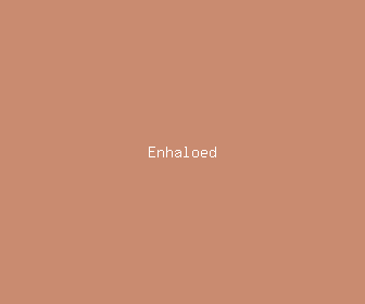 enhaloed meaning, definitions, synonyms