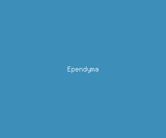 ependyma meaning, definitions, synonyms