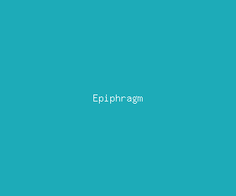 epiphragm meaning, definitions, synonyms