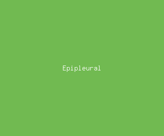 epipleural meaning, definitions, synonyms