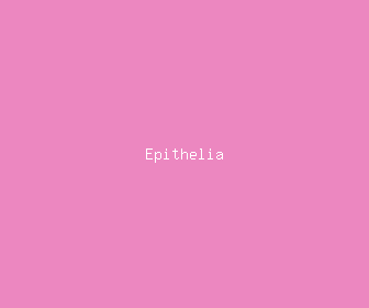 epithelia meaning, definitions, synonyms