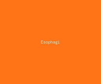 esophagi meaning, definitions, synonyms