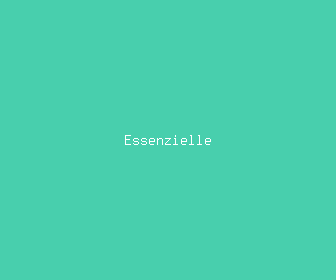 essenzielle meaning, definitions, synonyms