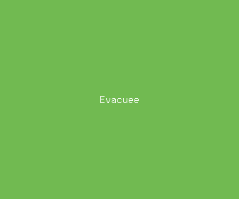 evacuee meaning, definitions, synonyms