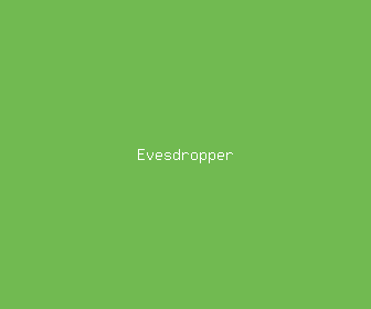 evesdropper meaning, definitions, synonyms
