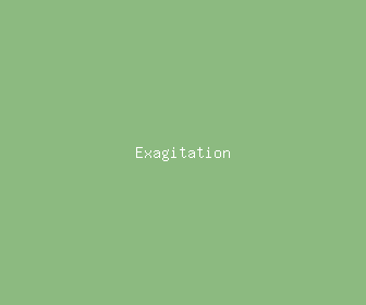 exagitation meaning, definitions, synonyms
