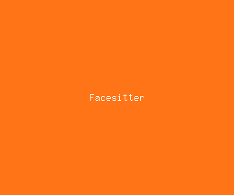 facesitter meaning, definitions, synonyms