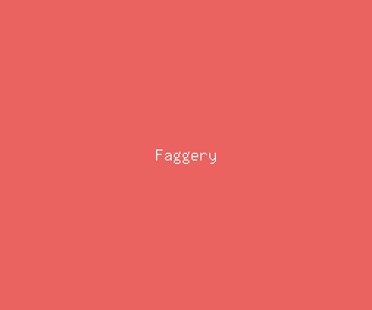faggery meaning, definitions, synonyms