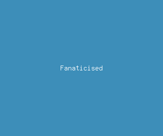 fanaticised meaning, definitions, synonyms