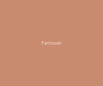 fantoosh meaning, definitions, synonyms