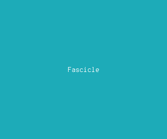 fascicle meaning, definitions, synonyms