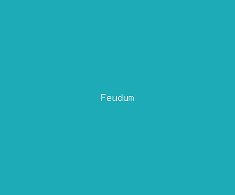 feudum meaning, definitions, synonyms