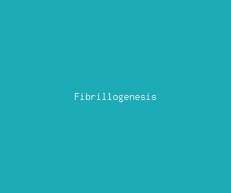fibrillogenesis meaning, definitions, synonyms