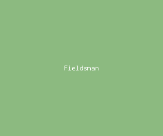 fieldsman meaning, definitions, synonyms