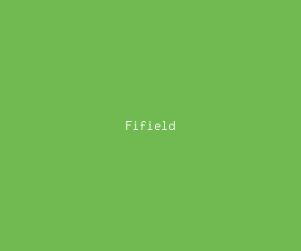 fifield meaning, definitions, synonyms