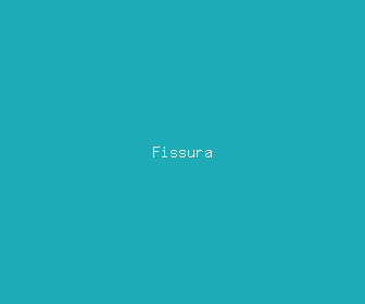 fissura meaning, definitions, synonyms