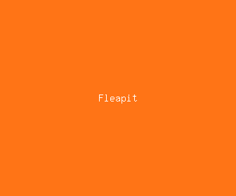 fleapit meaning, definitions, synonyms