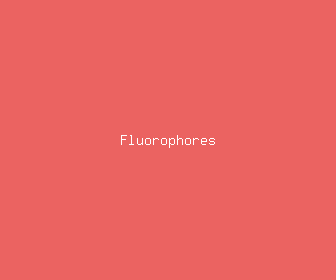 fluorophores meaning, definitions, synonyms