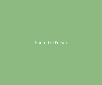 foraminiferan meaning, definitions, synonyms