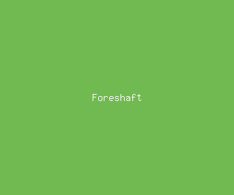 foreshaft meaning, definitions, synonyms