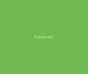 fotokrant meaning, definitions, synonyms