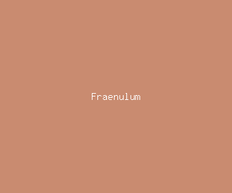 fraenulum meaning, definitions, synonyms