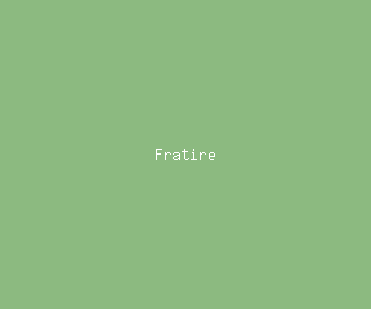fratire meaning, definitions, synonyms