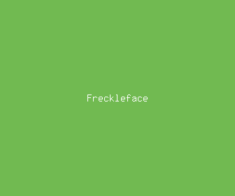 freckleface meaning, definitions, synonyms