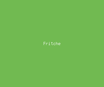 fritche meaning, definitions, synonyms