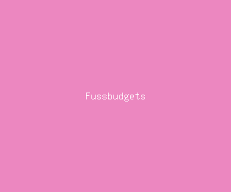fussbudgets meaning, definitions, synonyms