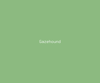 gazehound meaning, definitions, synonyms