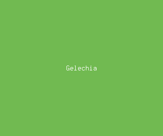 gelechia meaning, definitions, synonyms