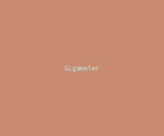 gigameter meaning, definitions, synonyms