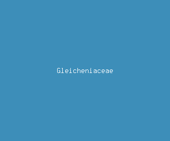 gleicheniaceae meaning, definitions, synonyms