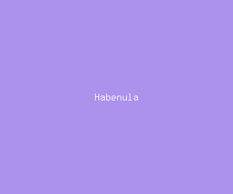 habenula meaning, definitions, synonyms