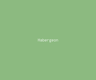 habergeon meaning, definitions, synonyms
