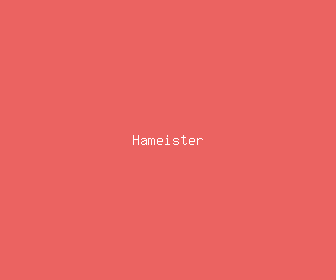 hameister meaning, definitions, synonyms