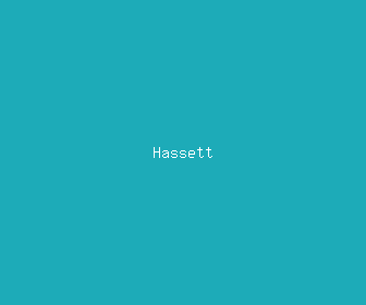 hassett meaning, definitions, synonyms