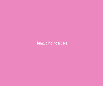 hemichordates meaning, definitions, synonyms